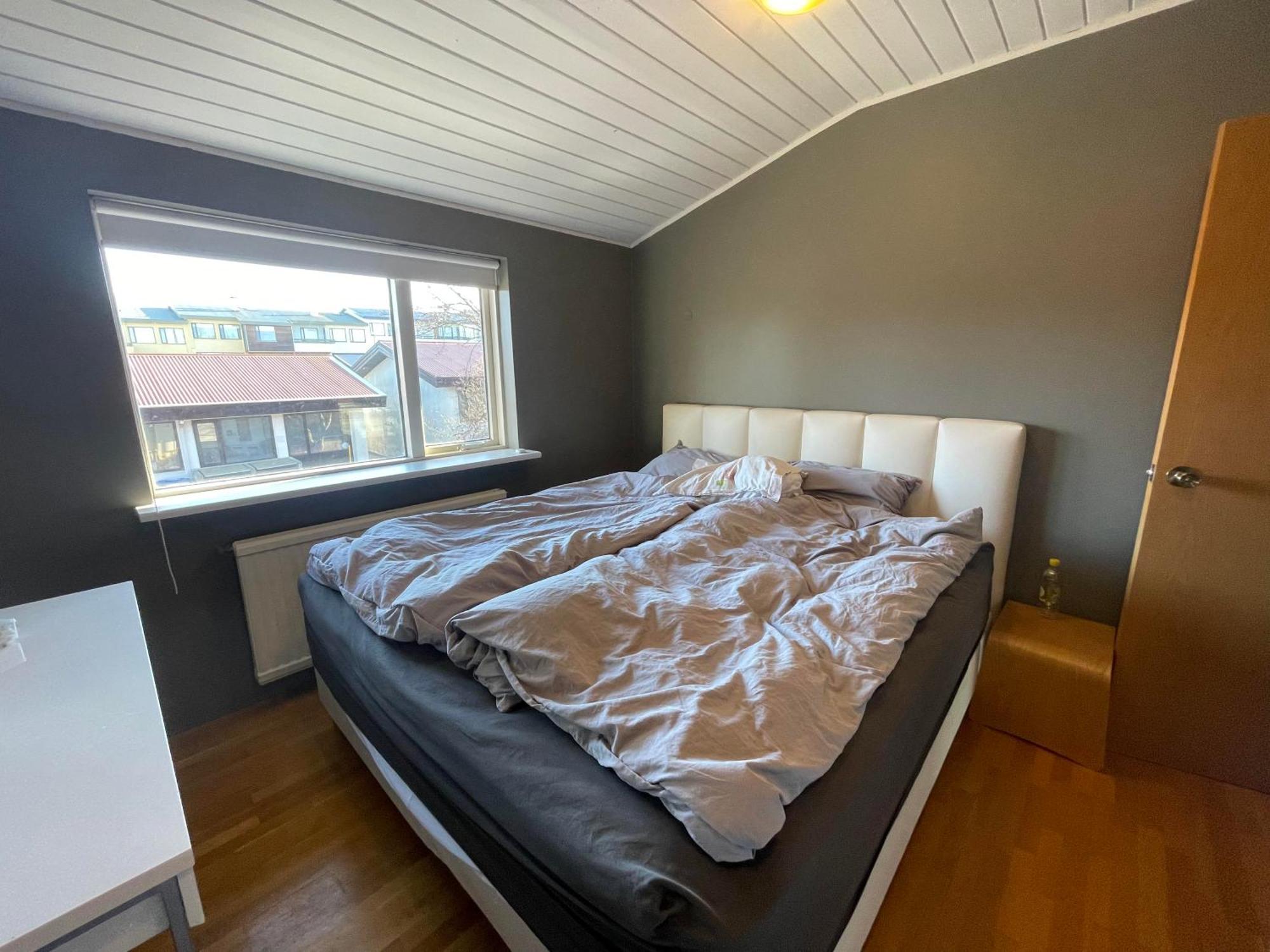 Lejlighed Spacious & Luxurious Family W Hot & Cold Tub & Sauna Reykjavík